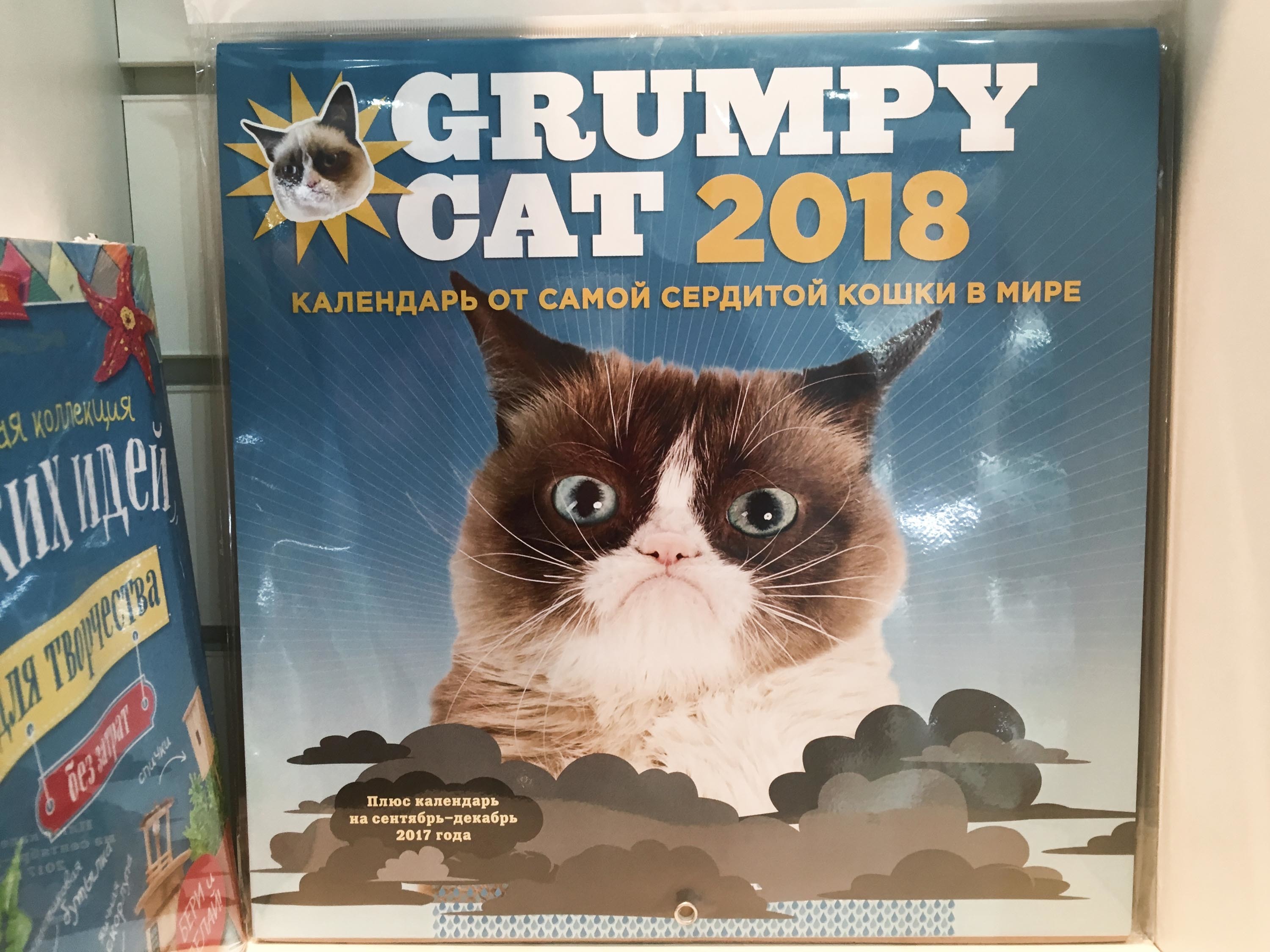 Grumpy Cat 2018